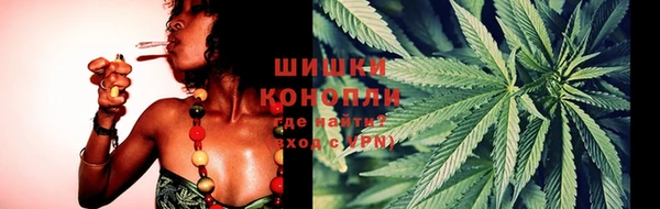 спайс Аркадак