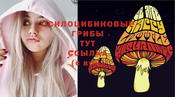 спайс Аркадак