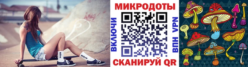 Купить где  Михайлов  Псилоцибиновые грибы мицелий 