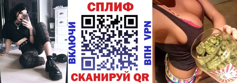 Шишки марихуана семена  Купить где  Михайлов 